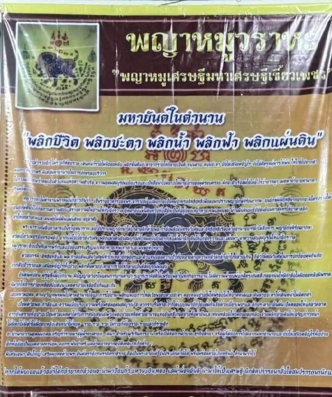 แผ่นยันต์ หมูวราหะ(พญาหมูเศรษฐีเขี้ยวเพชร) (เป็นแผ่นยันต์การ์ดขนาดนามบัตรพกพา) หลัง #ยันต์5ธาตุปรับสมดุลฮวงจุ้ย ปี2564 - #รับประกันแท้ #ปลุกเสกแล้ว