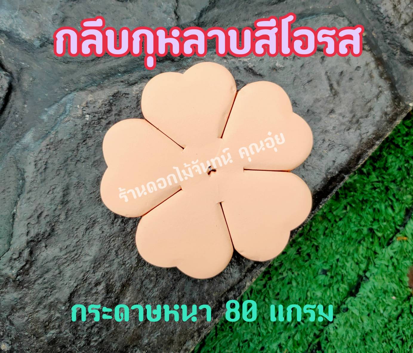 กลีบดอกไม้จันทน์กุหลาบ กลีบกุหลาบ กลีบกุหลาบสีโอรส กลีบกุหลาบโอรส กลีบกุหลาบทิพย์ ดอกไม้จัน กลีบดอกไม้จันทน์กุหลาบสีโอรส
