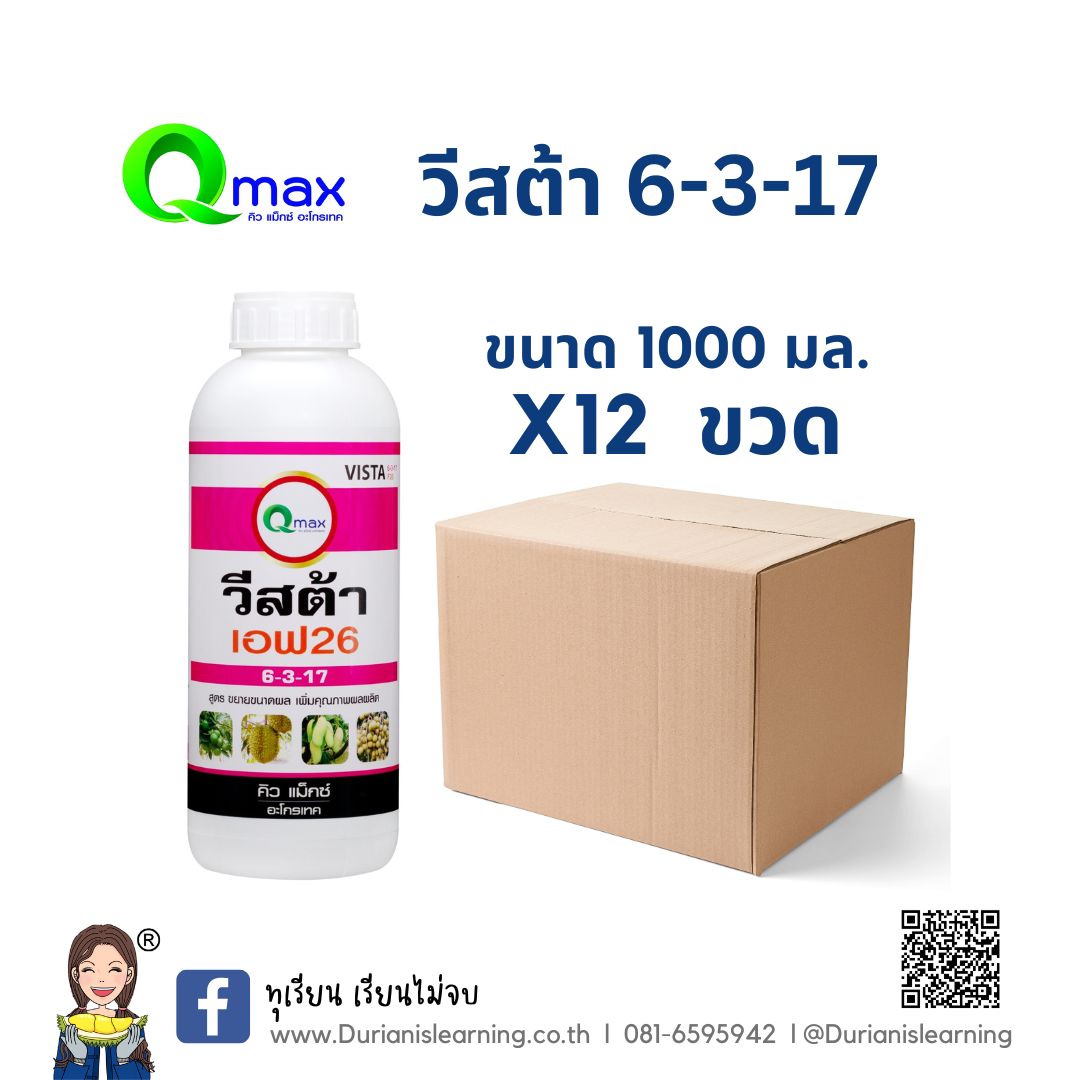 วีสต้า 6-3-17 (12x1 L.)