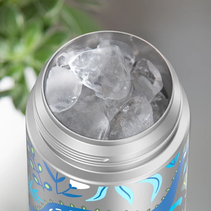 กระติกน้ำสเตนเลสรักษาอุณหภูมิ Thermos Dinosaur Kingdom FUNtainer Vacuum Insulated Stainless Steel Bottle 12OZ with Bali Handle