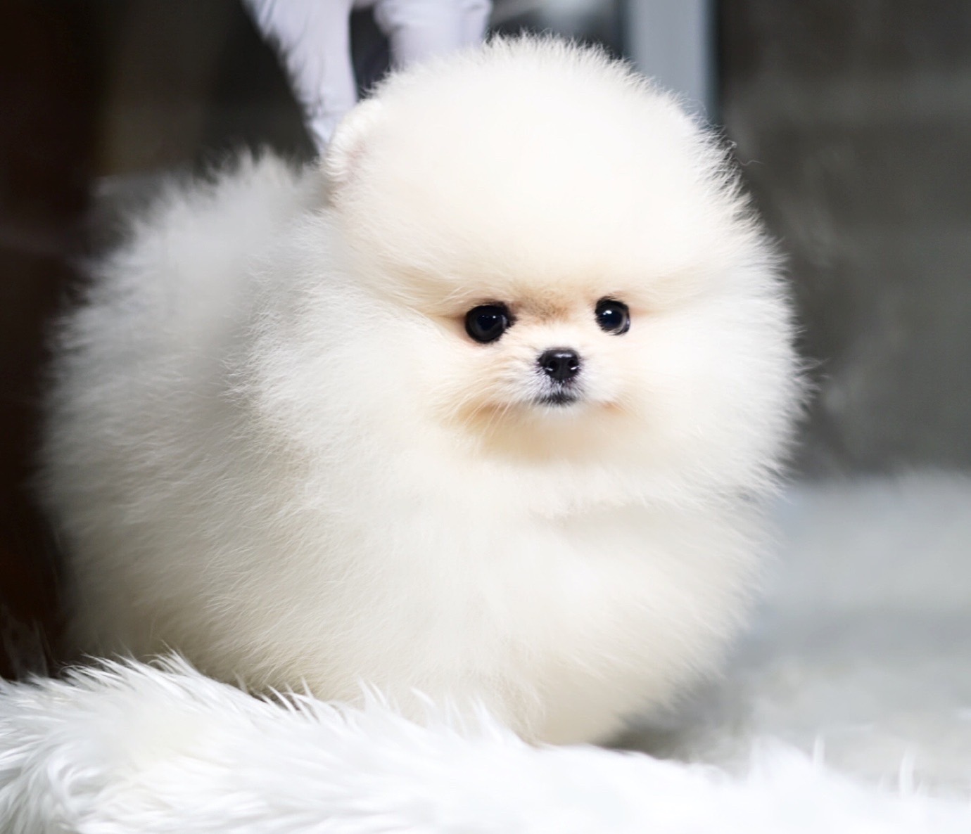 ย้ายบ้านแล้ว