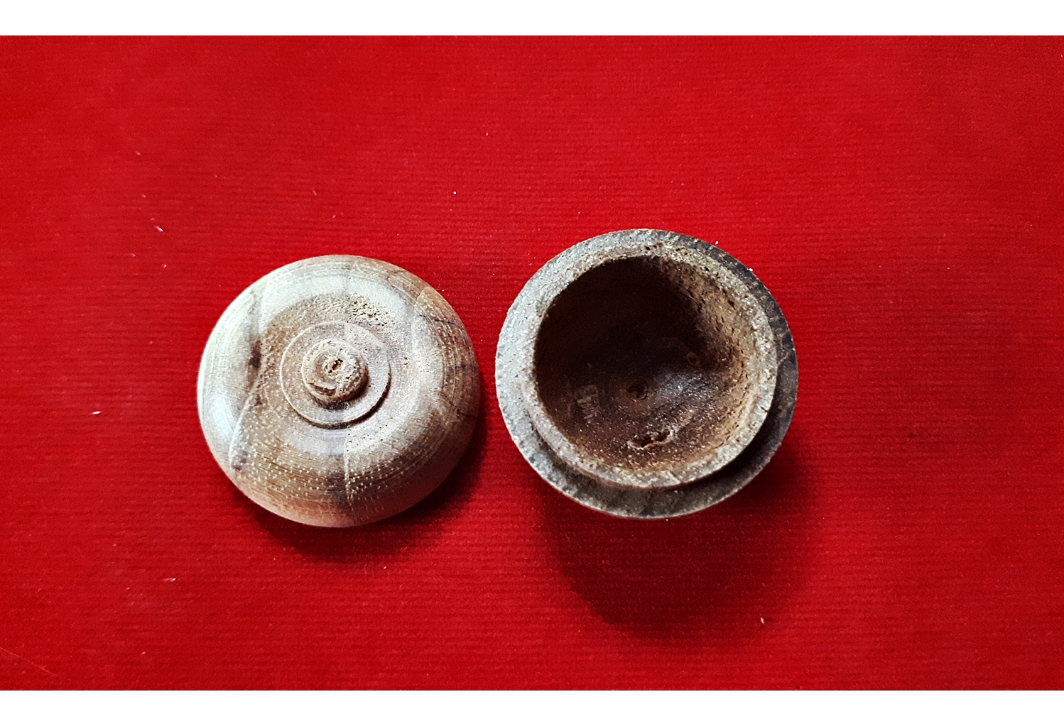 ตลับไม้ ขนดเหรียญบาท - ใส่แป้ง ใส่สีผึ้ง วัตถุมงคล (ขายปลีก ขายส่ง)