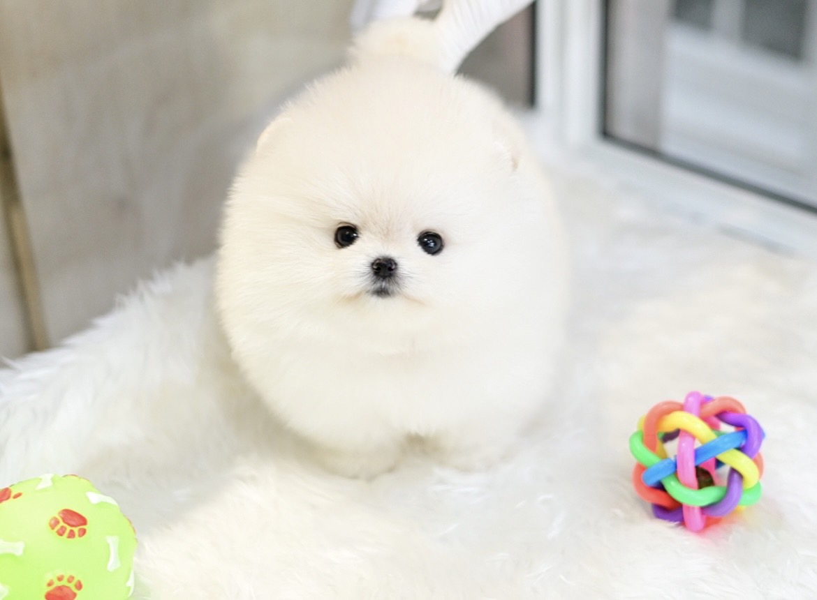 ย้ายบ้านแล้ว