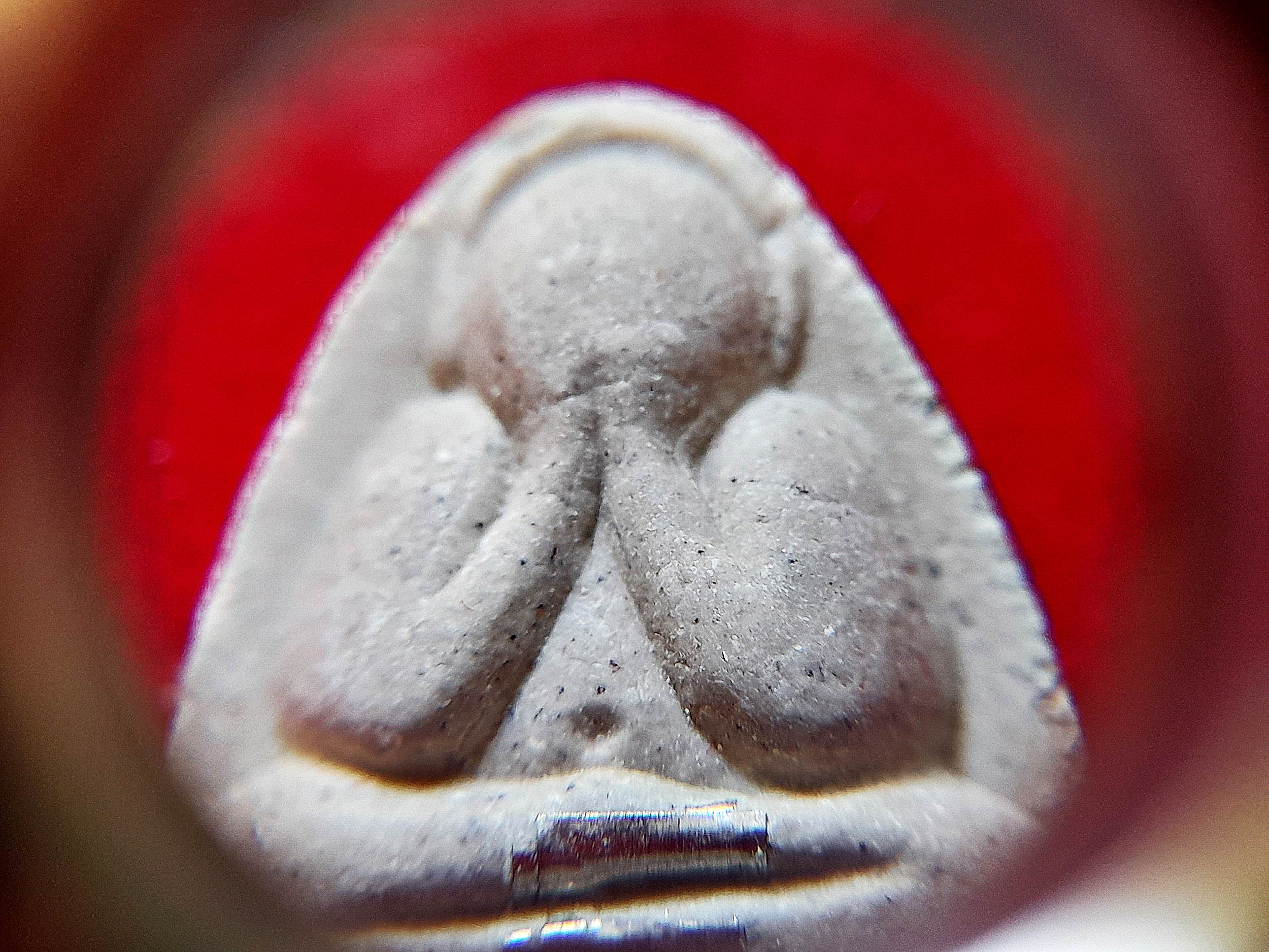 พระปิดตา(พิมพ์ปิดหูซาวเบาว์) หลวงปู่หมุน วัดบ้านจาน เนื้องผง(มวลสารเก่าหลวงปู่หมุน) (ฝัง ตะกรุดเงินแท้ 2ดอก) ปี2562 #รับประกันแท้ - สร้างและปลุกเสกโดยศิษย์เอกหลวงปู่หมุน - พระอาจารย์จ่อย (หลวงปู่อุดมทรัพย์)