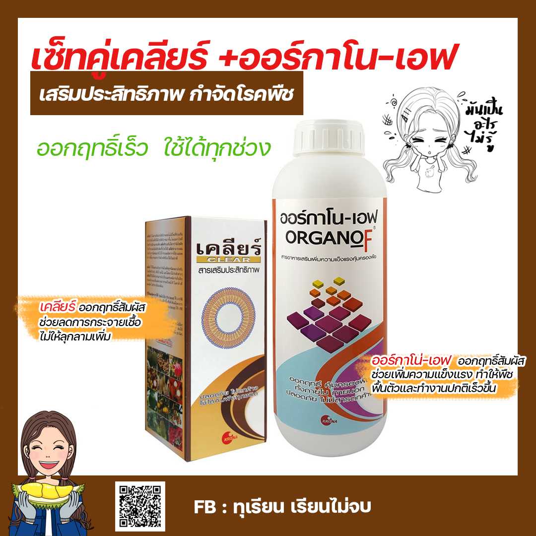 เซ็ทคู่ เคลียร์ ออร์กาโน่ สารเสริมประสิทธิภาพกำจัดโรคพืช