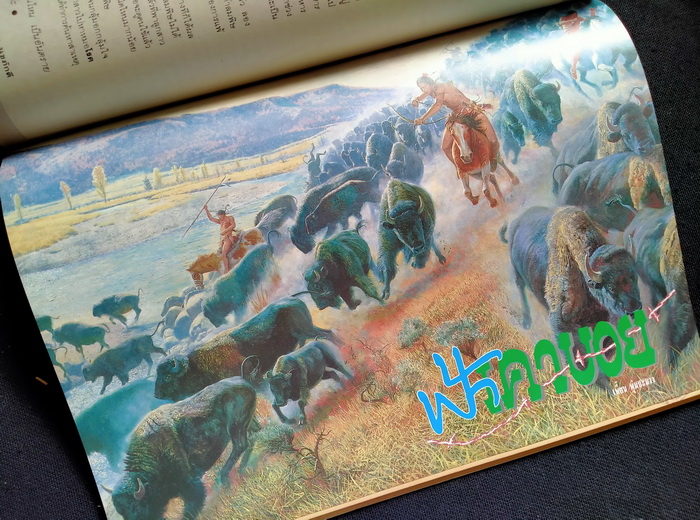 ฟ้า ปก แอ๊ด คาราบาว