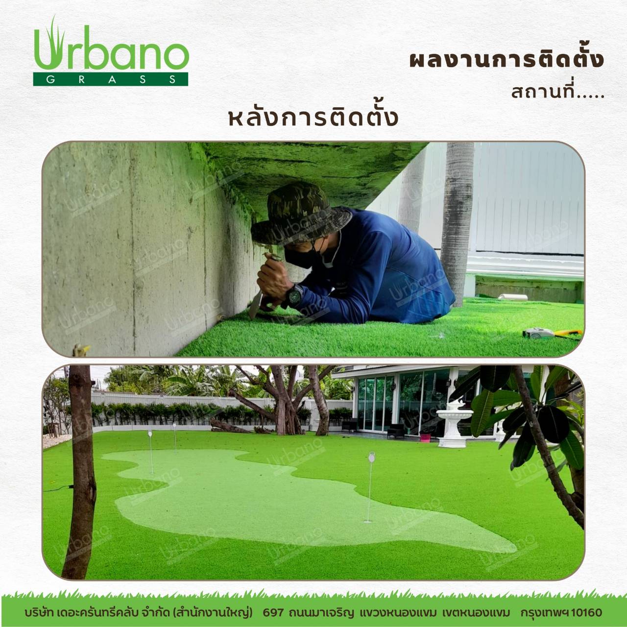 หญ้าเทียม พัตต์กอล์ฟ 1.5 ซม. 2x25 ม. สำหรับพัตต์กอล์ฟ ไดร์ฟกอล์ฟ หญ้ากอล์ฟ หนา แน่น หญ้าเทียมเกรดA Urbano grass เออบาโน่ กร๊าส
