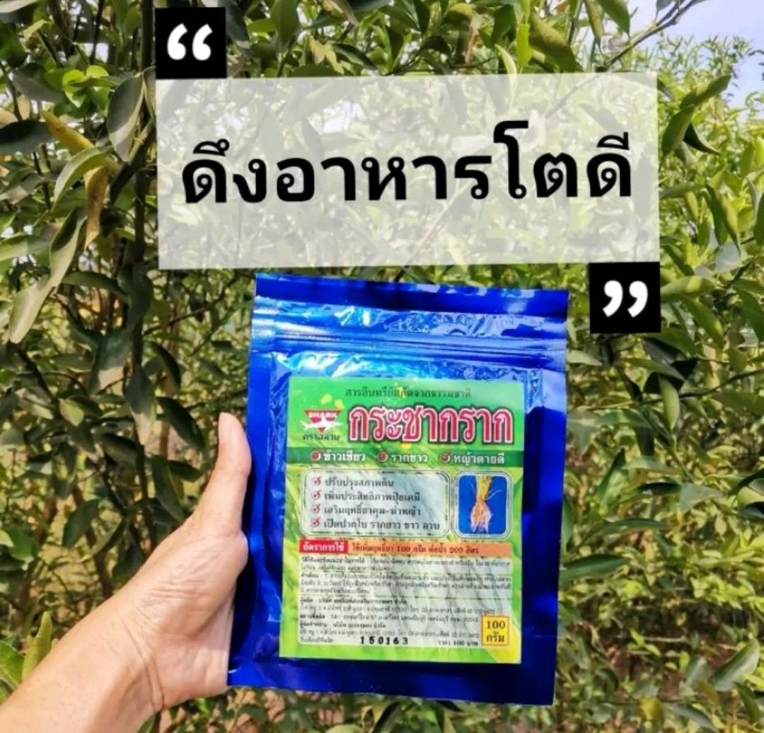 สารอินทรีย์สกัดจากธรรมชาติ กระชากราก สารเสริมฤทธิ์อาหารพืช ขนาด100กรัม