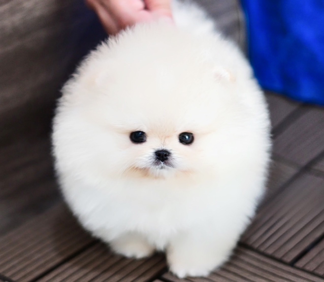 ย้ายบ้านแล้ว