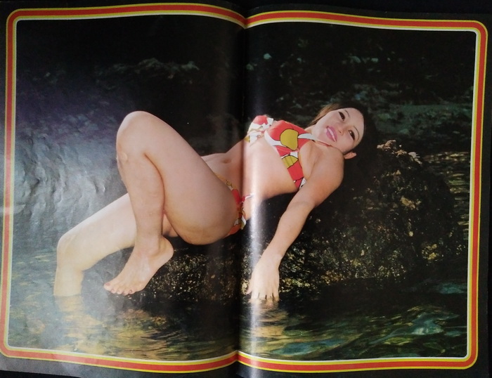 หนุ่ม'73 เล่ม 3