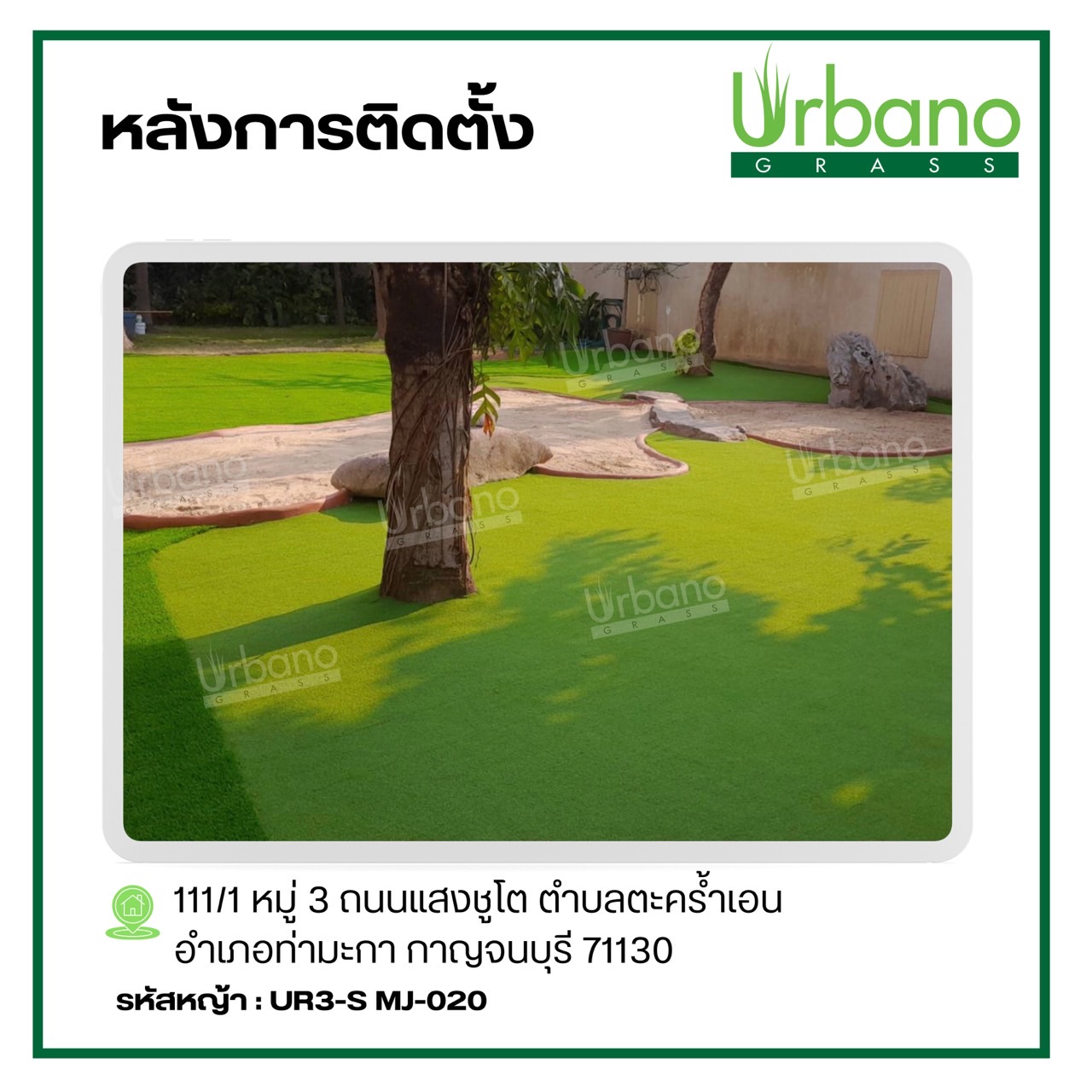 หญ้าเทียม 3ซม. เกรดPremium 2x25 เมตร สำหรับแต่งบ้าน แต่งสวน สีเหมือนจริง Urbano Grass ( เออบ่าโนกร๊าส ) แต่งร้าน แต่งคอนโด