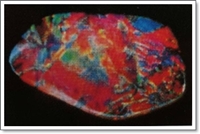 โอปอโบลเดอร์ (Boulder opal)