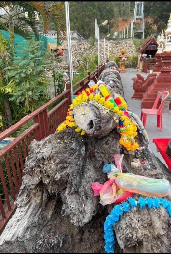 แม่นางตะเคียน(แม่นางมั่น) เนื้อผงมวลสารผสมเนื้อไม้ตะเคียนแท้ ฝั่งตะกรุด2ดอก #ปลุกเสกแล้ว #รับประกันแท้