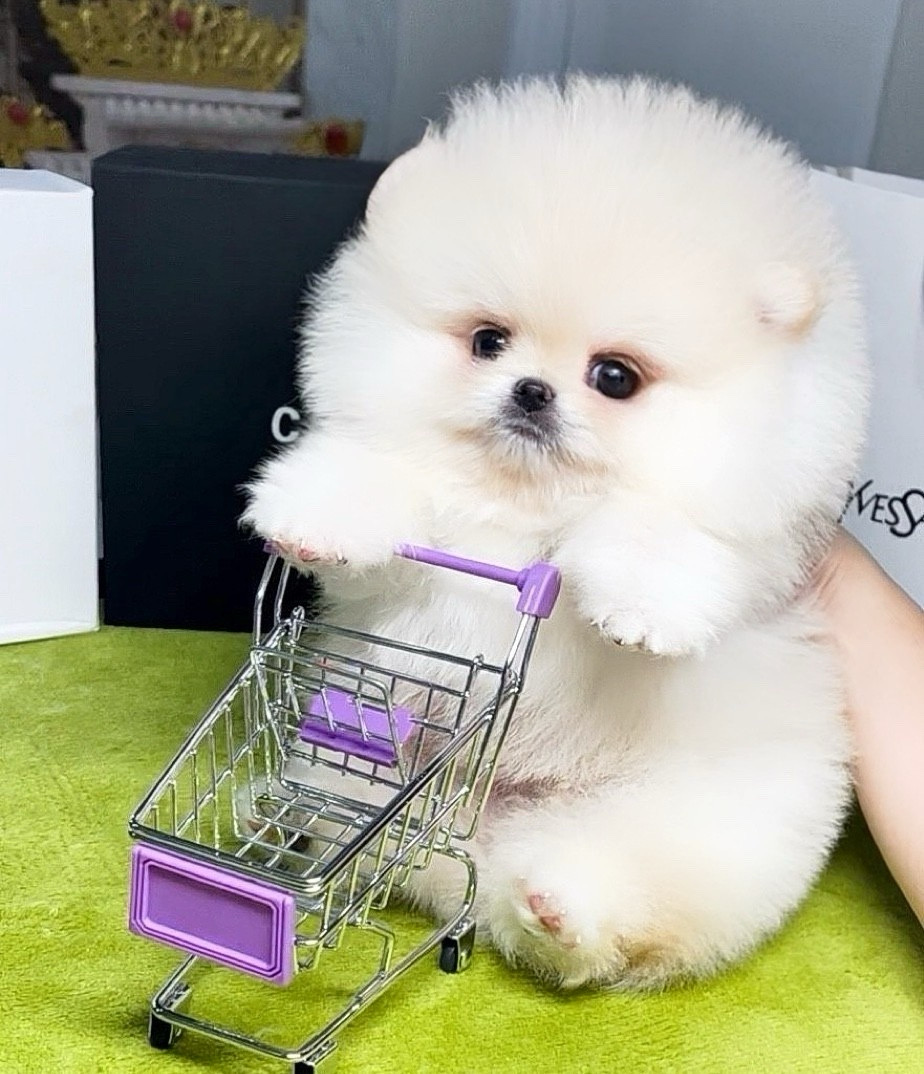 ย้ายบ้านแล้ว