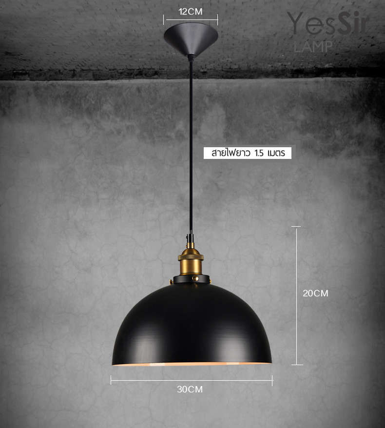โคมไฟห้อยเพดาน เรโทรอินดัสเทรียลสีดำ