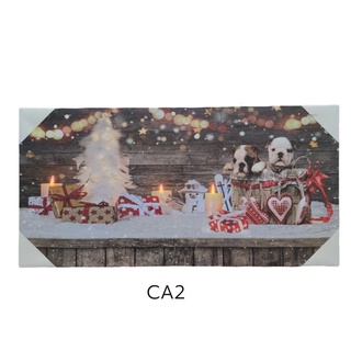 ภาพแคนวาสตกแต่งผนังมีไฟLEDในตัวขนาด30×60ซม.