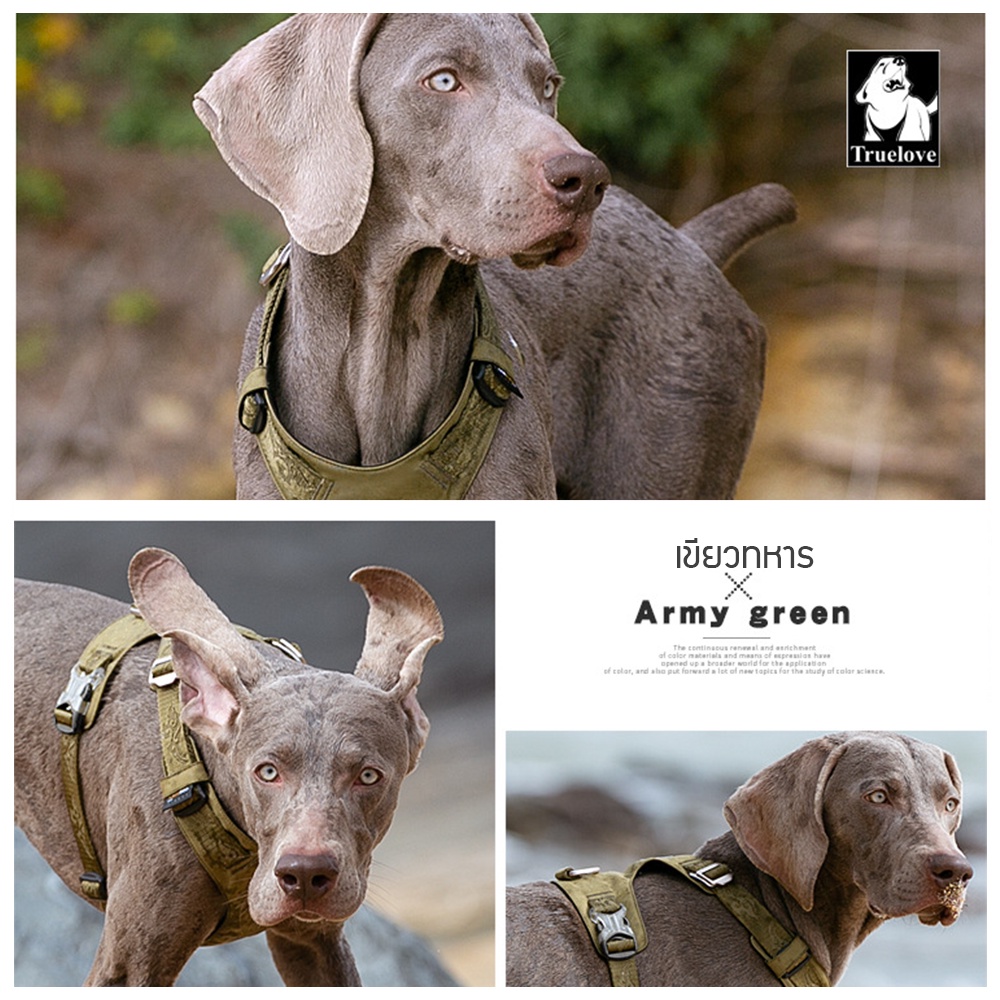 C182 TRUELOVE TH ปลอกคอรัดอกสุนัข ฮาเนสรัดอกแบบเบา Light-weight Pet Harness ออกแบบให้เบาบางใส่สบาย ขยับง่าย