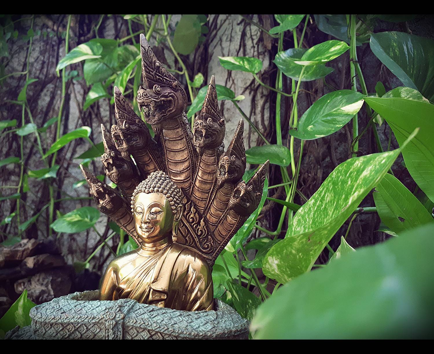 รูปหล่อ พระพุทธเจ้า ปางพระนาคปรก (พญานาค7หัว) เนื้อทองเหลือง ปี2562 (พระหน้าตัก5นิ้ว ฐาน7นิ้ว สูง8นิ้ว) (เทคนิคสำสีเก่า แยกส่วนประกอบได้) #รับประกันแท้ หลวงพ่อเล็ก วัดท่าขนุน ร่วมพิธีปลุกเสกรวมพระลูกศิษย์ในสายของหลวงพ่อฤาษี วัดท่าซุง ณ วัดเขาวงศ์ จ.สระบุร