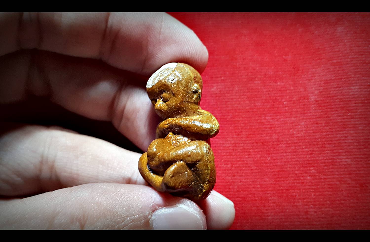 กุมารดูดรก ลูกกรอกคนองฤทธิ์ รุ่นไหว้ครูรวยอย่างแรง หลวงพ่อกอย วัดเขาดินใต้ บุรีรัมย์ ปี2553