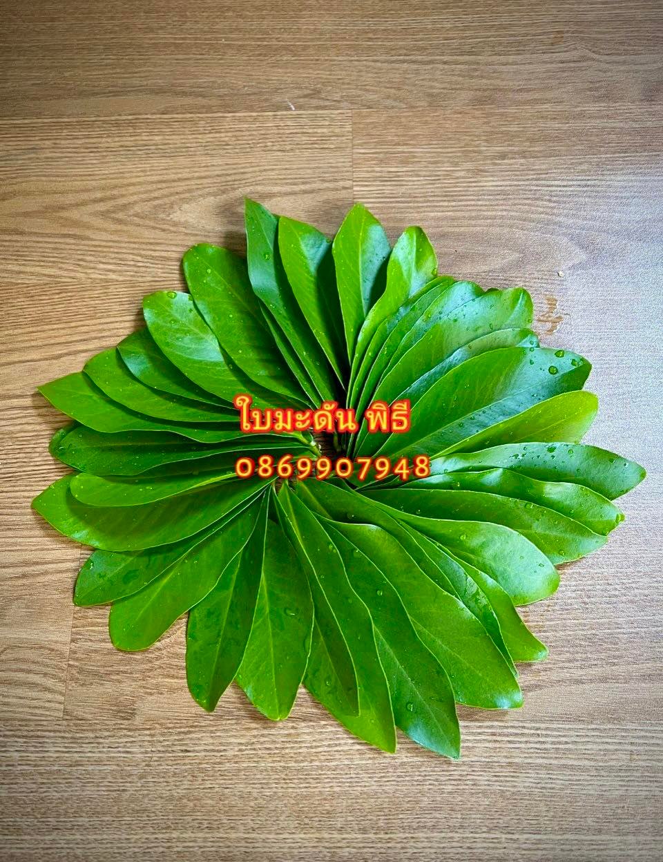 ต้นอ้อยพิธี (บวงสรวง)