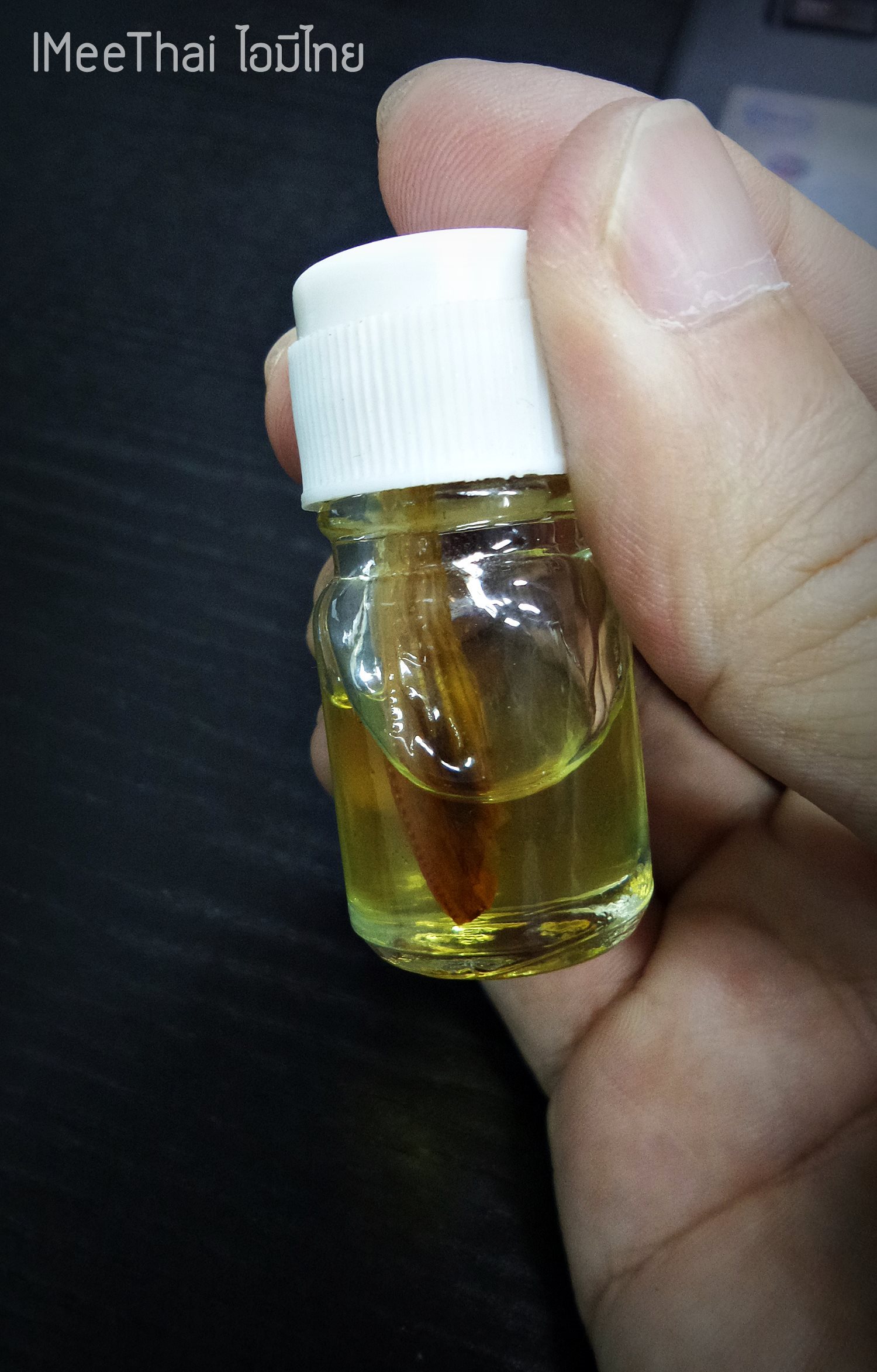 พระขุนแผนหมื่นทัพ และ น้ำมันเงี่ยงอ่อน อ.อ้วน หมอผี (ประมุข หมอเตี้ย)