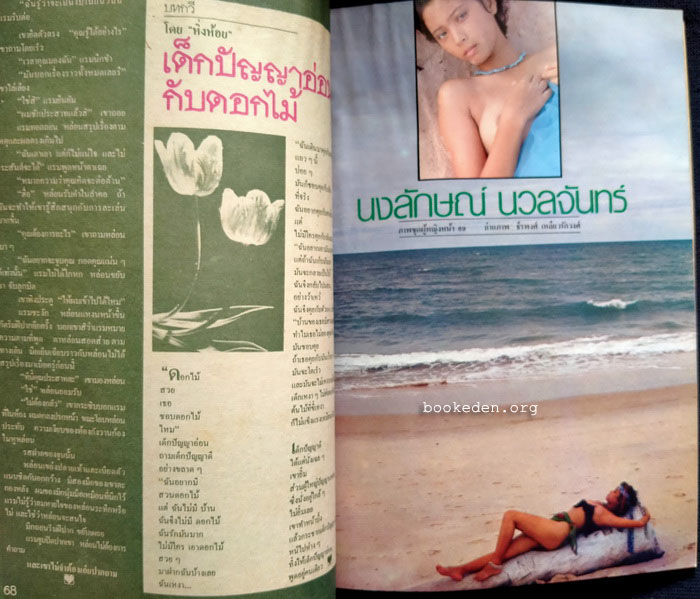 หนุ่มสาว ปีที่ 4 ฉบับที่ 41 **ภาพชุดโดย ธีรพงศ์ เหลียวรักวงศ์