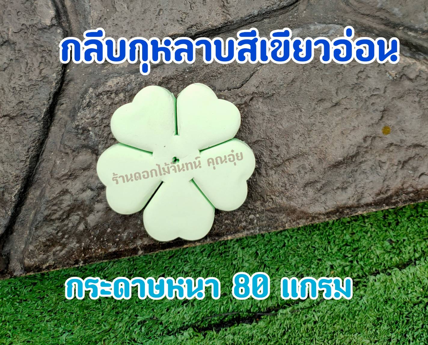 กลีบดอกไม้จันทน์กุหลาบ กลีบกุหลาบ กลีบกุหลาบสีเขียวอ่อน กลีบกุหลาบเขียวอ่อน กลีบกุหลาบทิพย์ ดอกไม้จัน กลีบดอกไม้จันทน์กุหลาบสีเขียวอ่อน