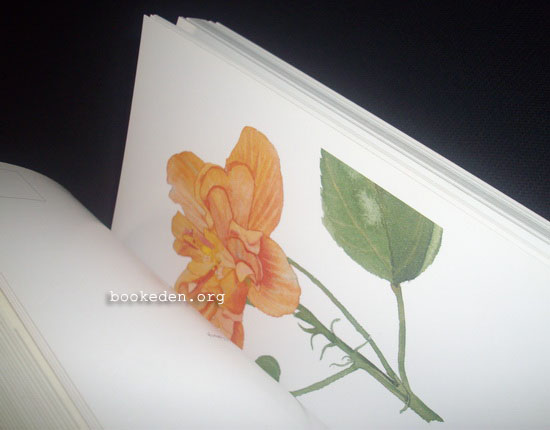 อารมณ์ดอกไม้