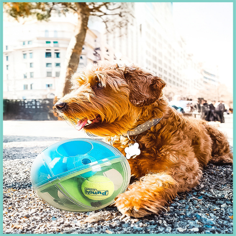 C272 ของเล่นสุนัข ลูกบอล 3-IN-1 MAZE BALL ซ่อนขนมให้หา For Ball Crazy Dogs