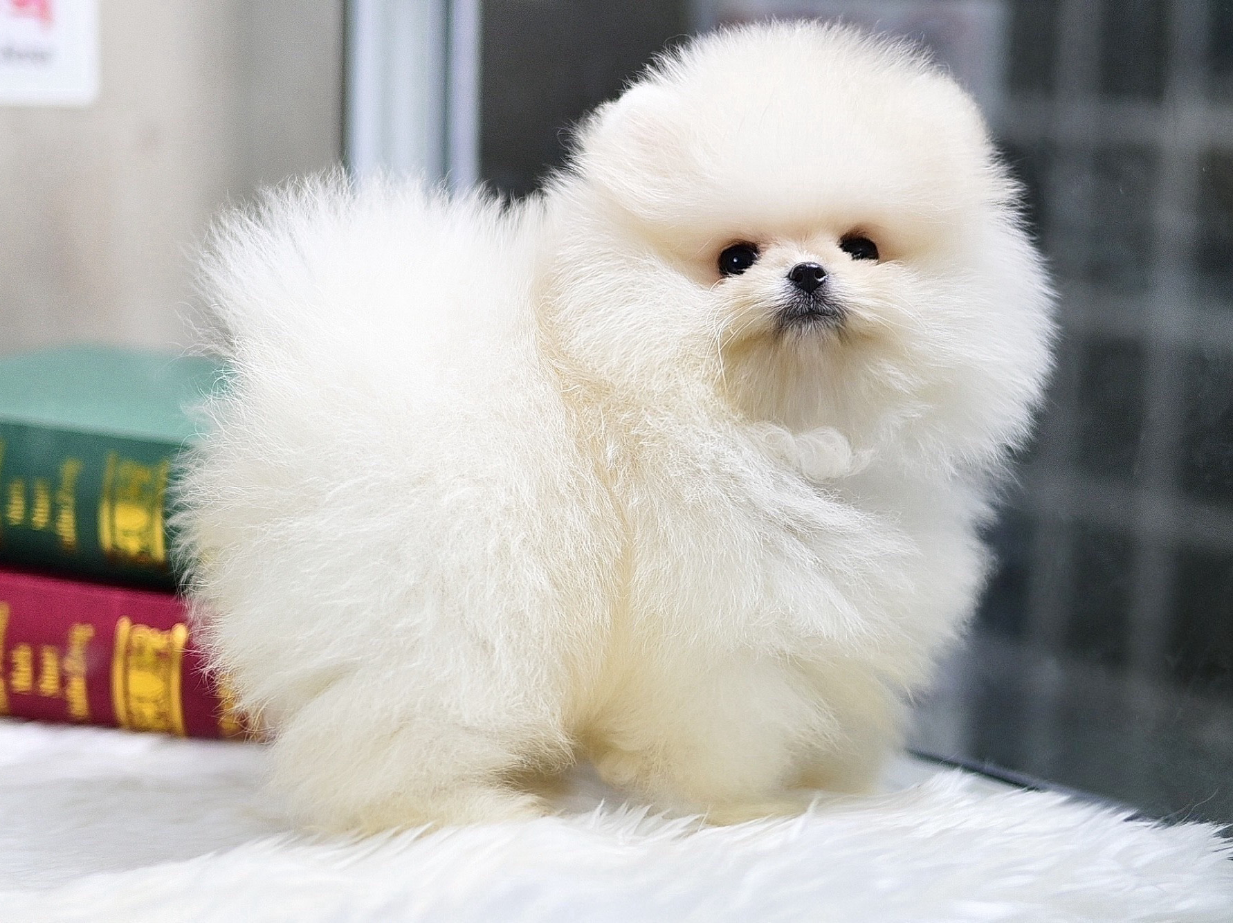 ย้ายบ้านแล้ว