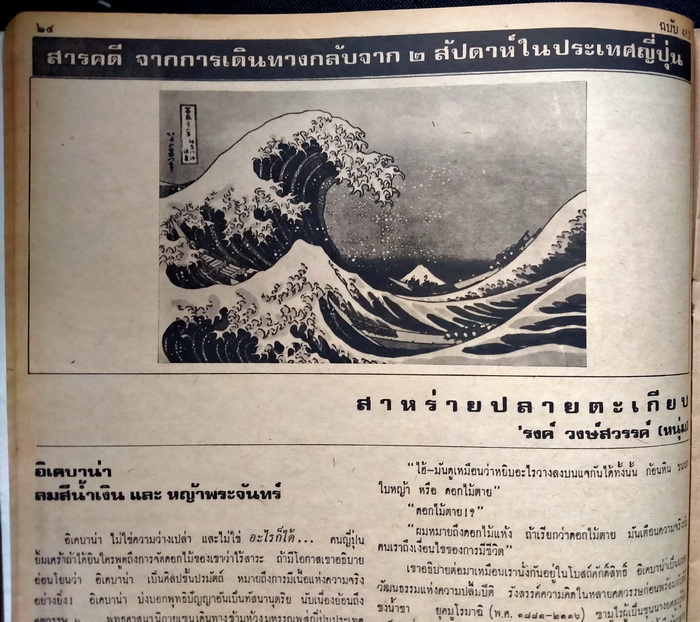 ฟ้าเมืองไทย ฉบับที่ 481