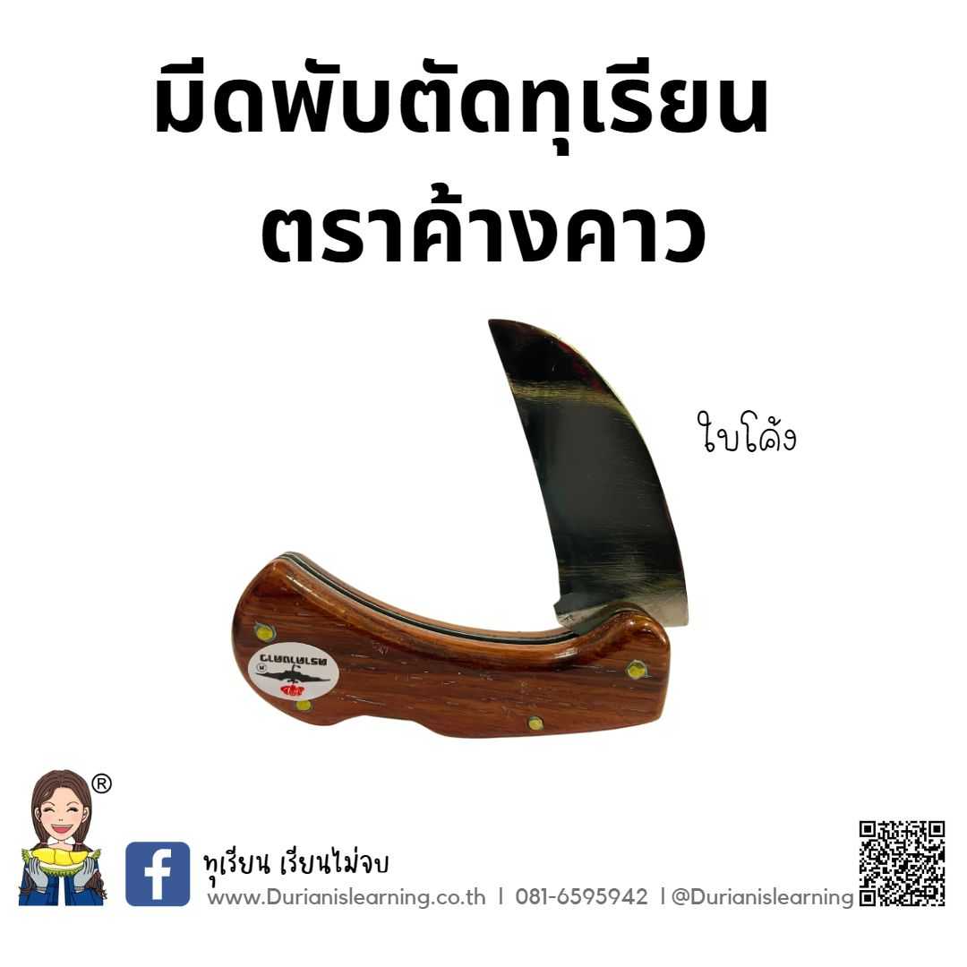 มีดพับตราค้างคาว โคง-ตรง ใบเหล็ก ด้ามไม้ เกรดอย่างดี มีดตัดทุเรียน มีดพกพา