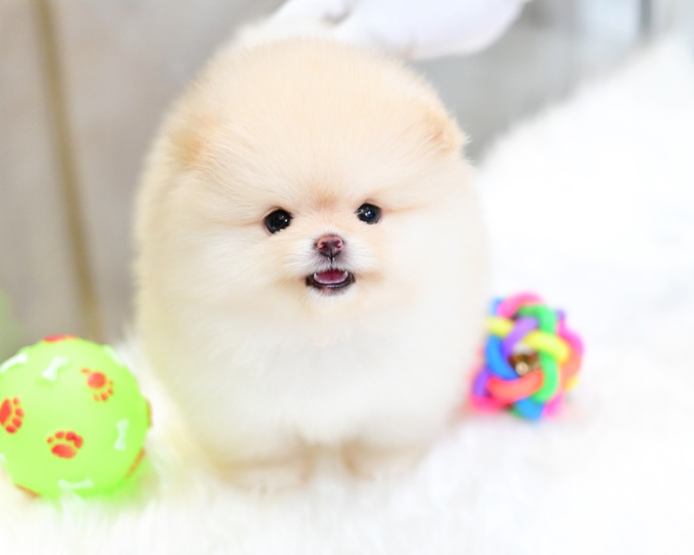 ย้ายบ้านแล้ว