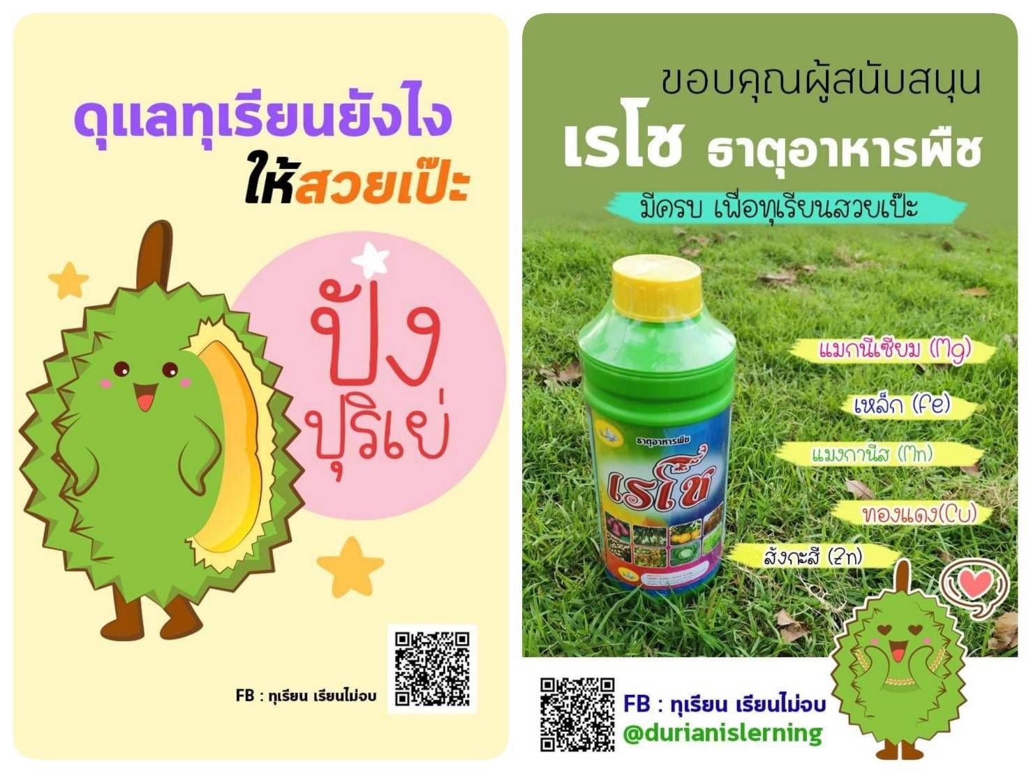 เรโช ธาตุอาหารรอง-เสริม สูตร EDTA ขนาด 1000 มล.