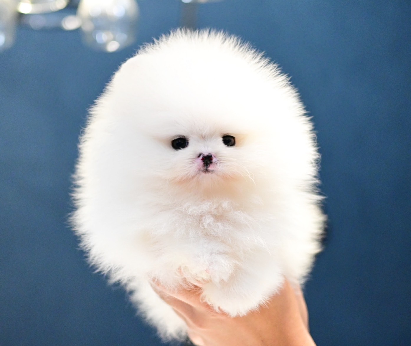 ย้ายบ้านแล้ว