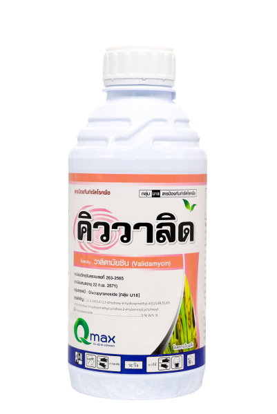 คิววาลิด #U18 (1,000 ซี.ซี.)