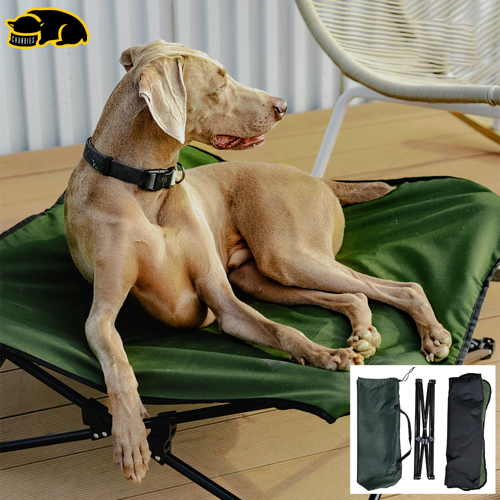 C264 เตียงนอนใหญ่ สุนัข แมว แคมป์ปิ้ง 75x75x25 cm พับได้ แบบพกพา Indoor Outdoor Pet Bed Camping Bed