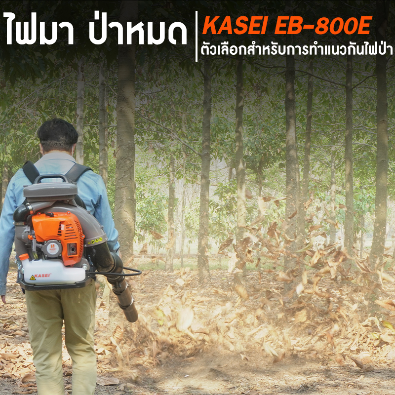 เครื่องเป่าลม-เป่าใบไม้ KASEI รุ่น EB-800-E