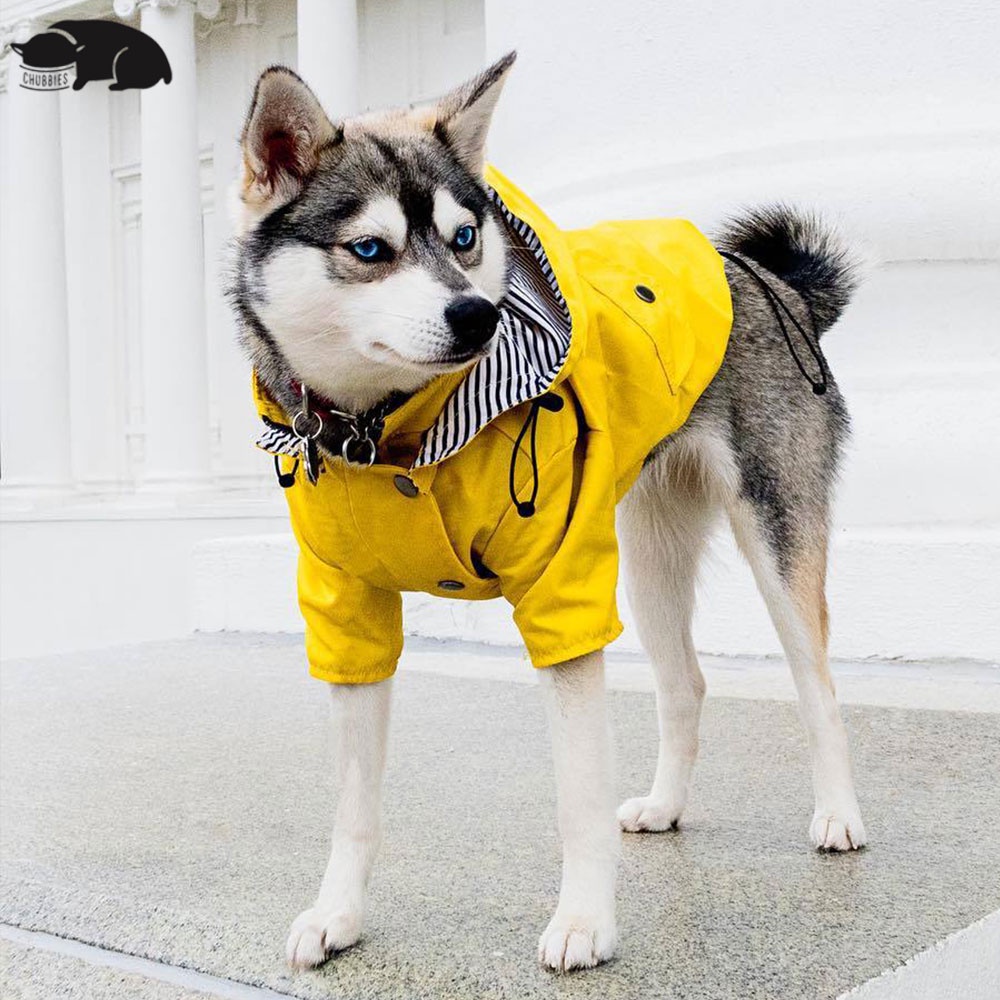 C173 เสื้อกันฝนสุนัข Georgie Yellow Raincoat กันเลอะ ใส่ง่าย กันฝนได้ดี เสื้อกันฝนสัตว์เลี้ยง เท่