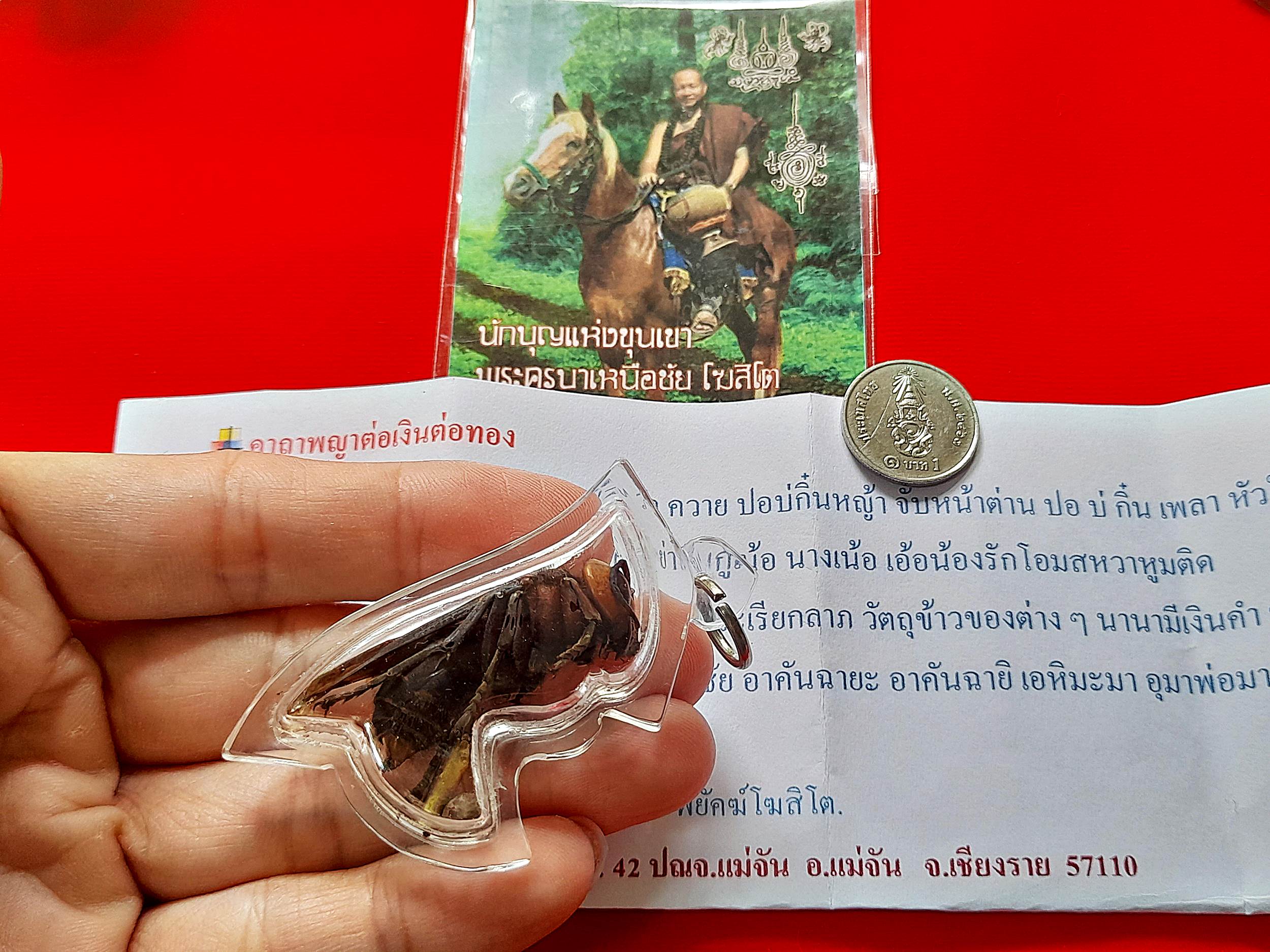 พญาต่อเงินต่อทอง (ใช้ ตัวต่อจริงที่ตายแล้ว) + ตะกรุดเรียกเงินเรียกทอง + เม็ดธาตุกายสิทธิ์เหล็กไหลเงินคำ ปี2560 (อานุภาพ เรียกเงิน โชคลาภ ค้าขาย เจรจา) #รับประกันแท้ - พระครูบาเหนือชัย (พระขี่ม้า)