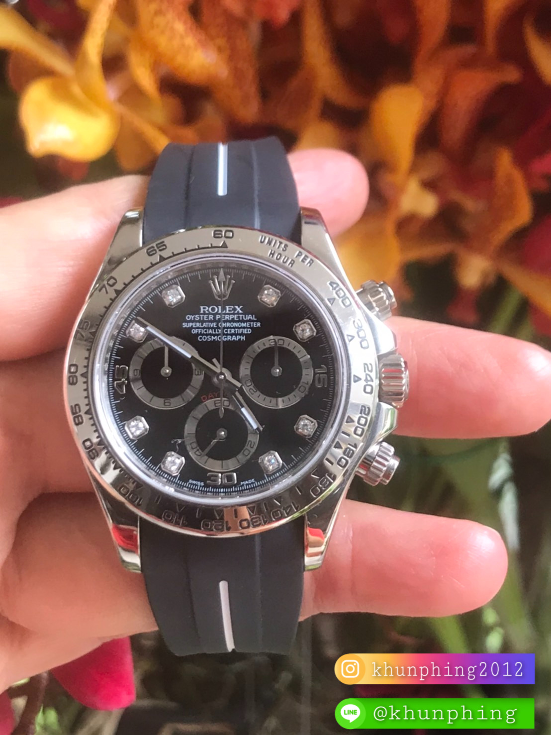 Rolex Daytona Diamond Black Dial White Gold 116509