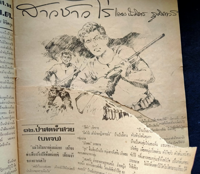 ฟ้าเมืองไทย ฉบับที่ 244 (ตำหนิ)