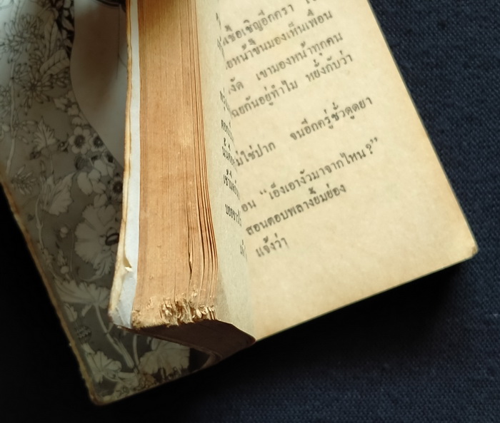 เสเพลบอยชาวไร่ **มีลายเซ็น 'รงค์ วงษ์สวรรค์ (ตำหนิ)