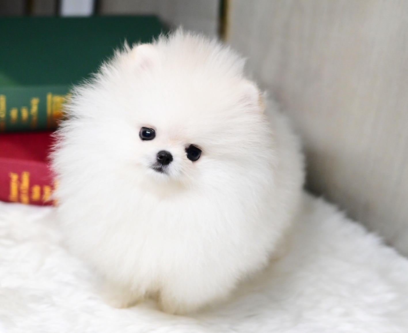 ย้ายบ้านแล้ว