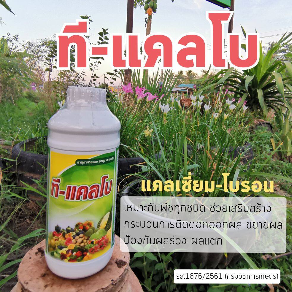 ที-แคลโบ แคลเซียมโบรอน ออกดอกสมบูรณ์ ติดผลดี