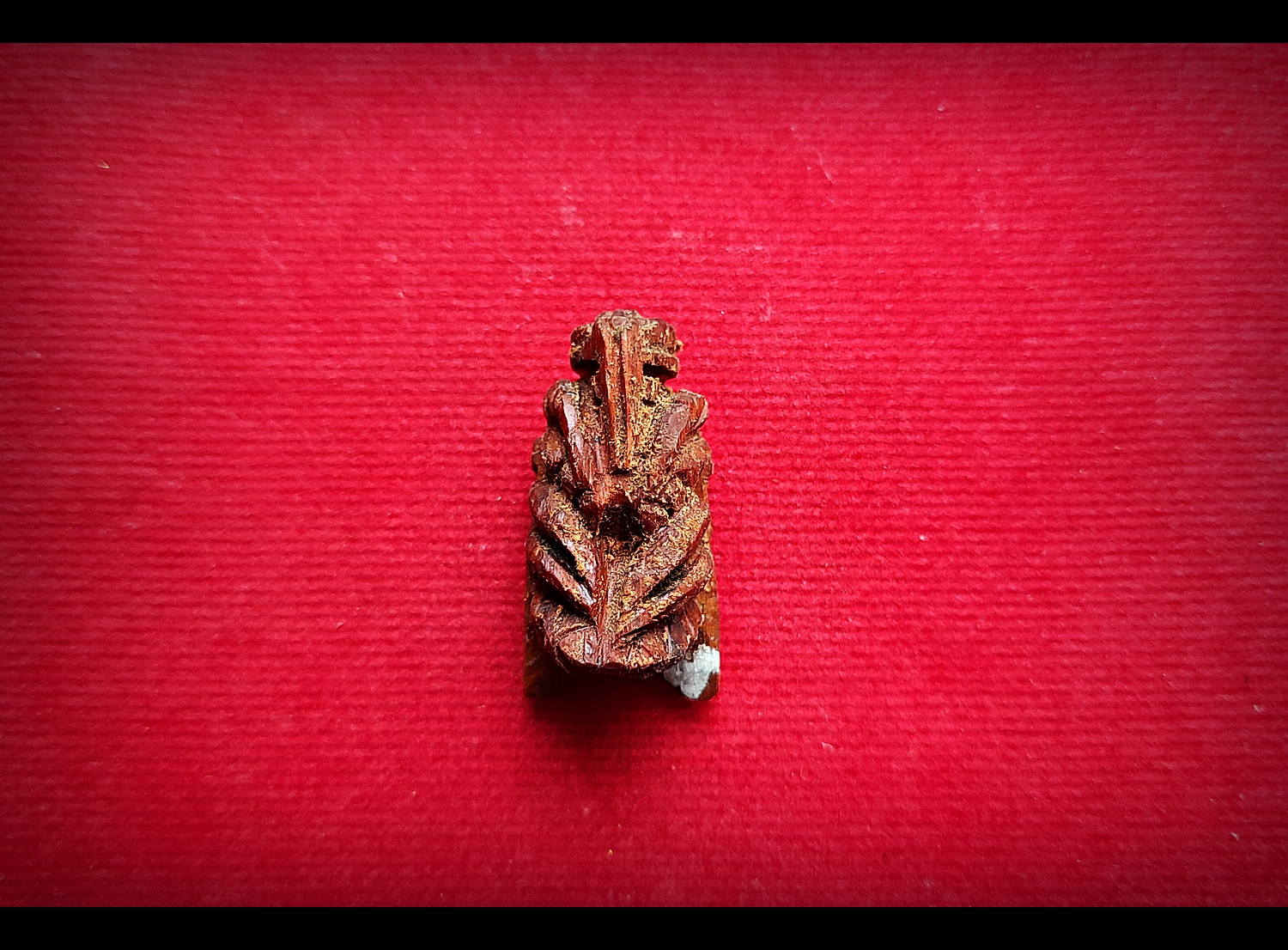 แมลงภู่ (แมงภู่ แมงบู๊) แกะสลัก เนื้อไม้ดุมล้อเกวียน ฝั่งเข็มบรรจุด้วยปรอทป่าแท้ ปี2563 #รับประกันแท้