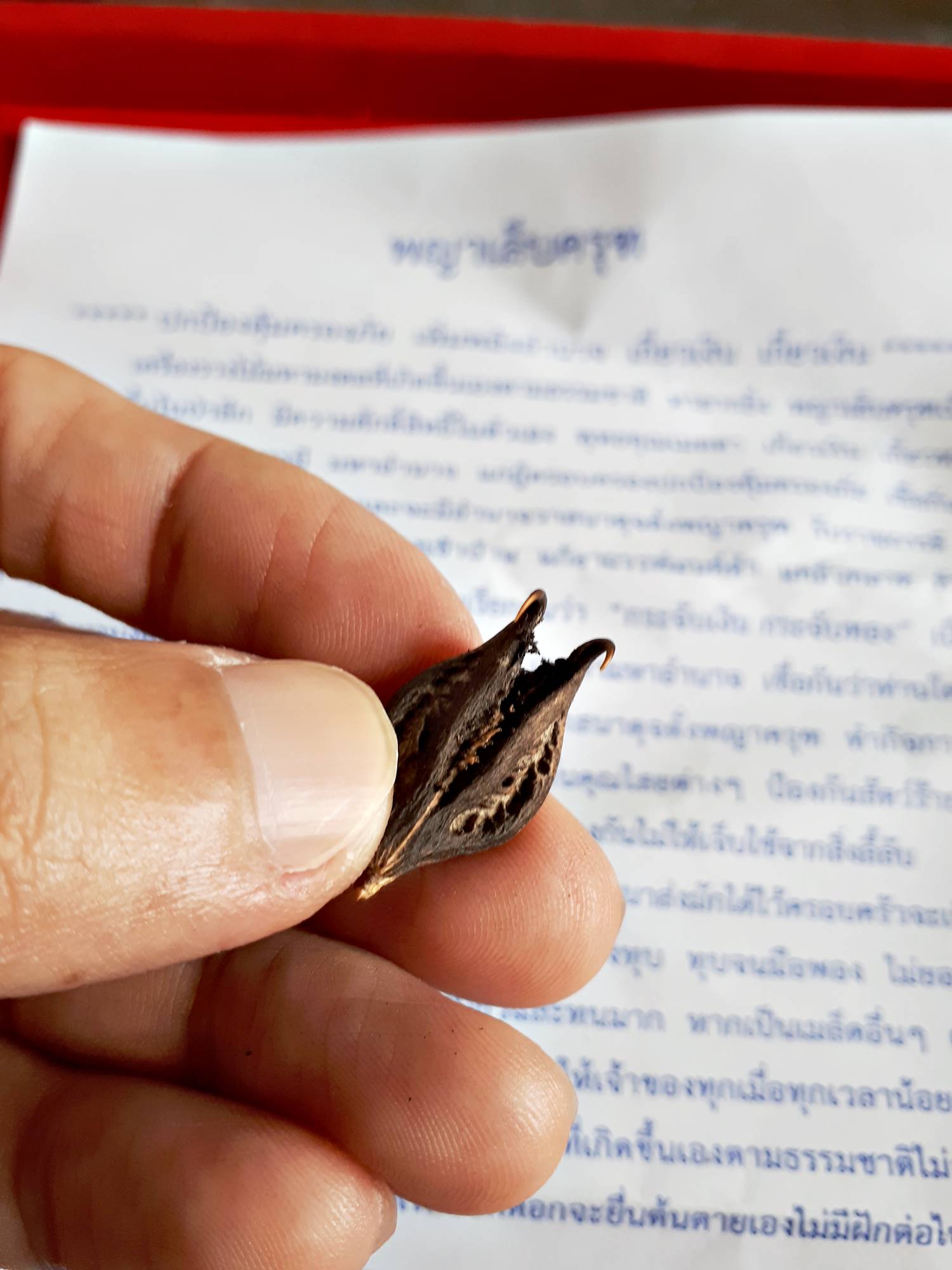 เล็บครุฑ วัตถุมงคลเครื่องราง