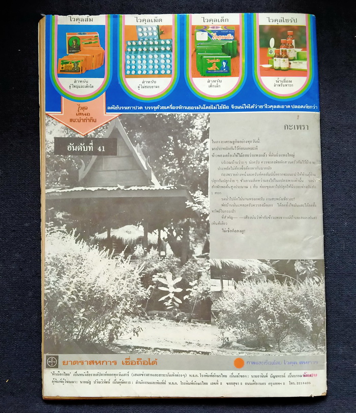 ฟ้าเมืองไทย ฉบับที่ 523