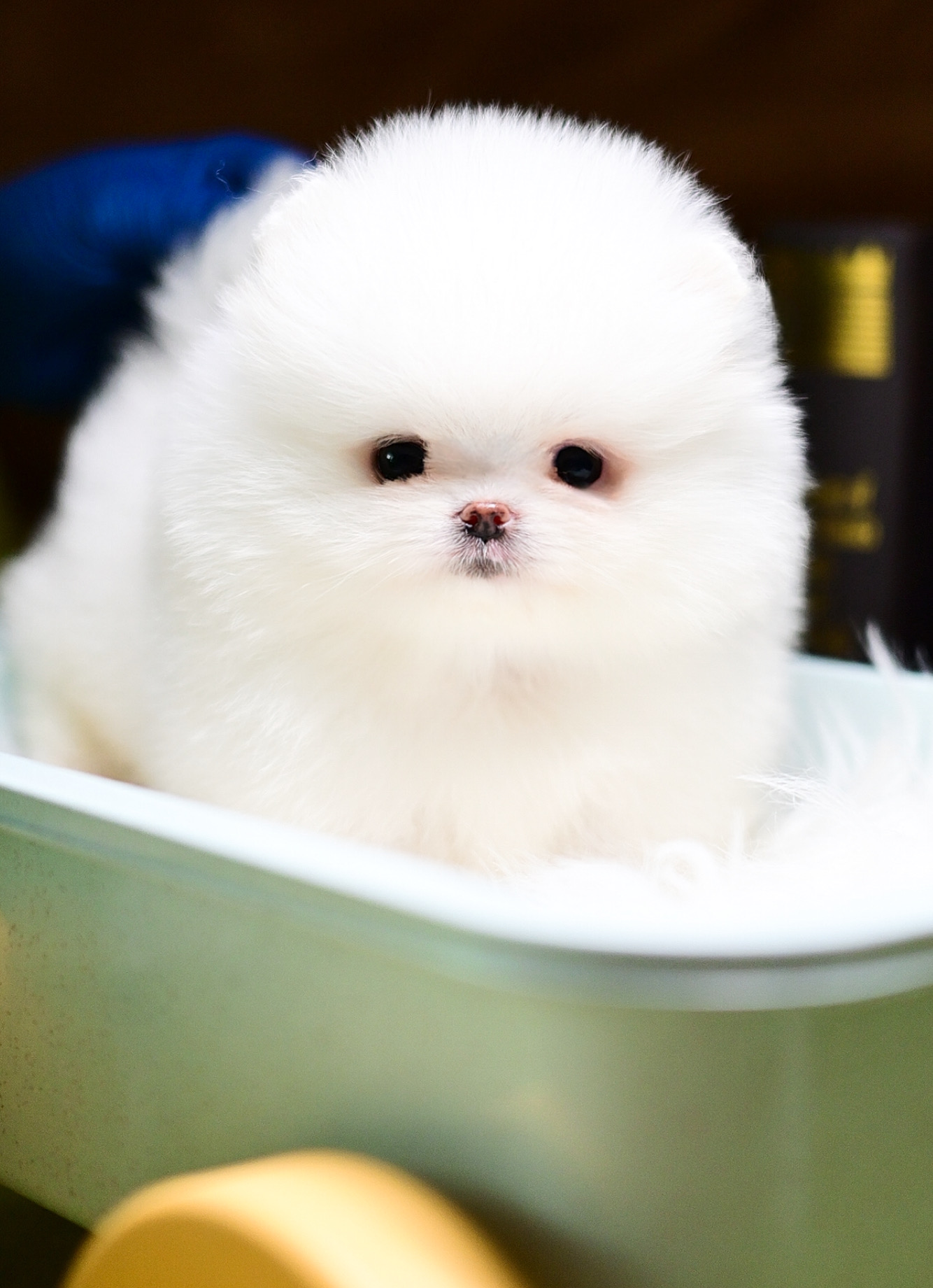 ย้ายบ้านแล้ว