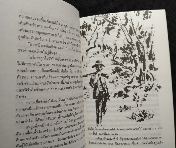 ทางเสือ